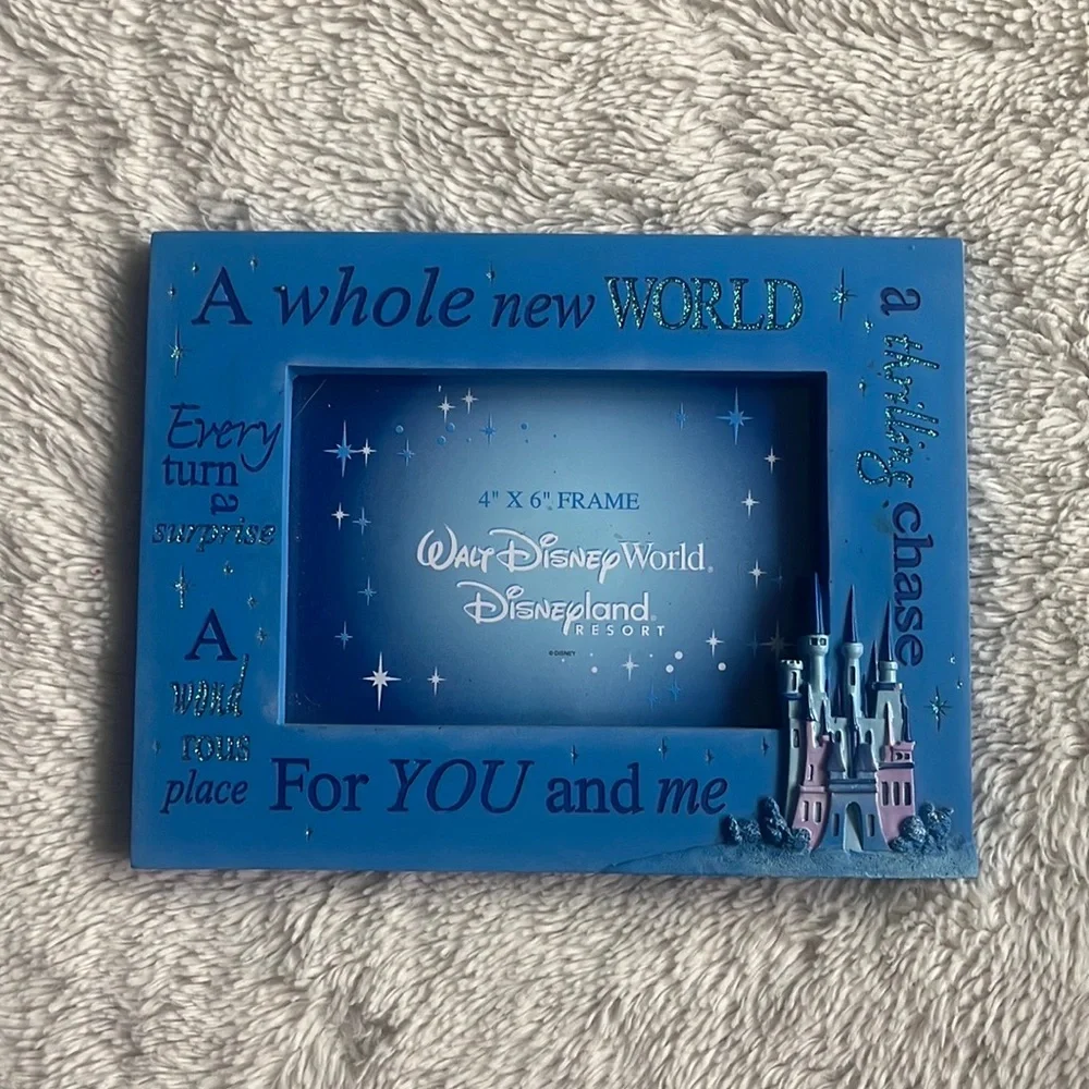 DisneyPark Frame